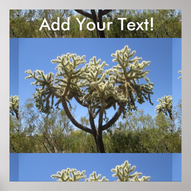 Cholla Cactus Poster (Framsidan)