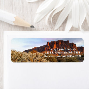 Cholla Cactus Superstition Mountain Arizona Returadress Etikett