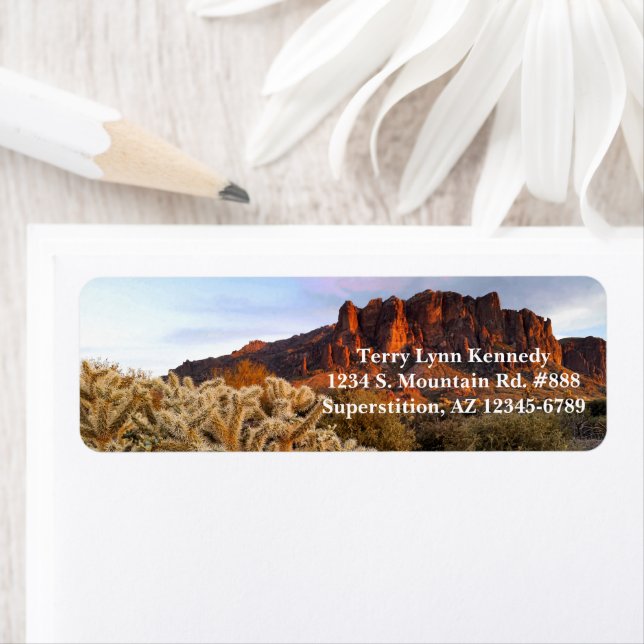 Cholla Cactus Superstition Mountain Arizona Returadress Etikett (Insitu)