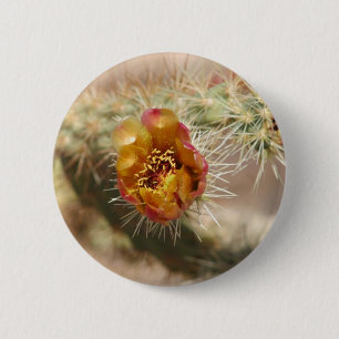 Cholla kaktusblom knapp
