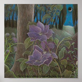 "Cholmondeley clematis by Moonlight" Poster