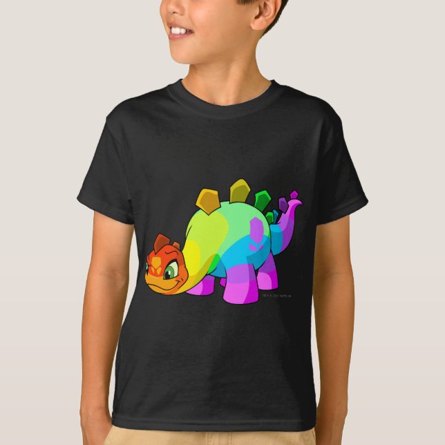 Chomby regnbåge tee shirt (Framsida)
