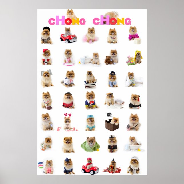 Chong Chong Poster (Framsidan)
