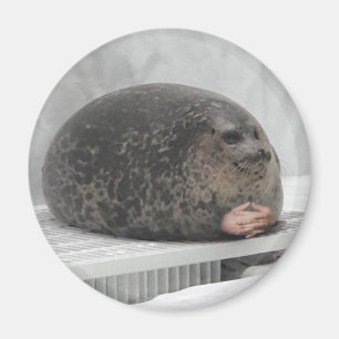 Chonky-försegling Magnet