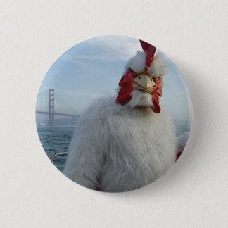 Chookbutton Knapp