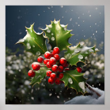 Choristmas-holly-bedövande foto