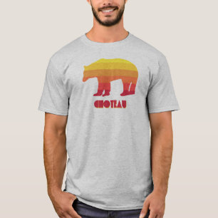 Choteau Montana Rainbow Bear T Shirt