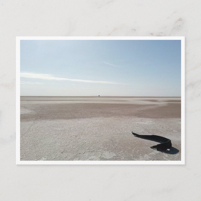 Chott el Djerid (Tunisien) Vykort (Framsida)