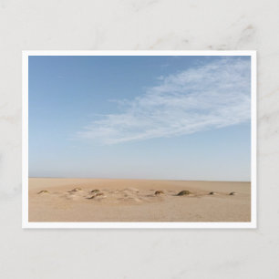 Chott el Djerid (Tunisien) Vykort