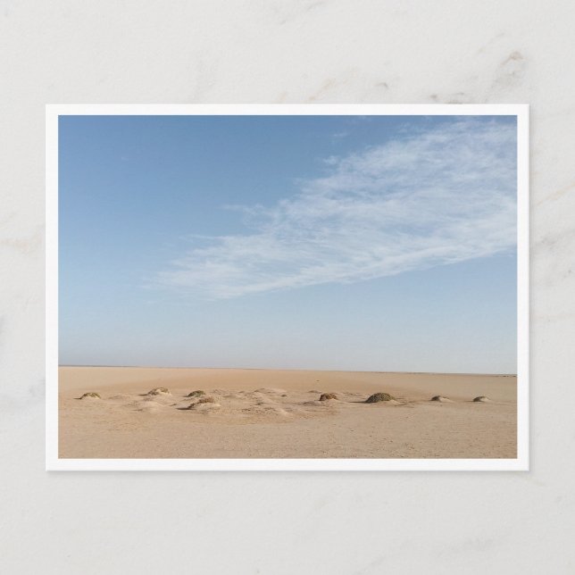 Chott el Djerid (Tunisien) Vykort (Framsida)