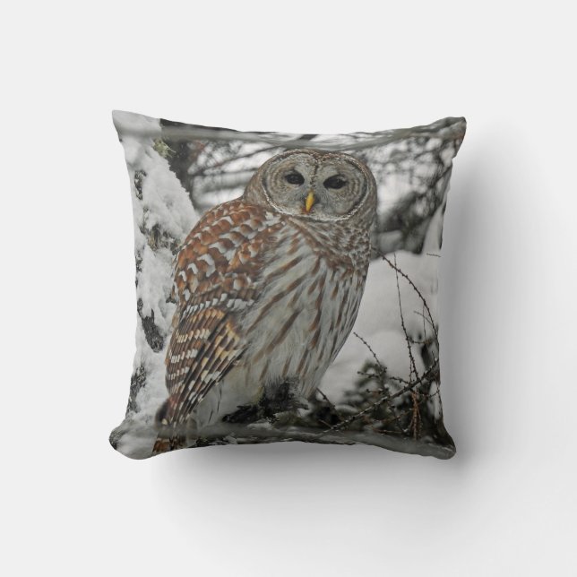 Chouette rayée kudde (Framsida)