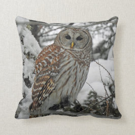 Chouette rayée kudde