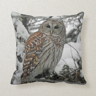 Chouette rayée kudde