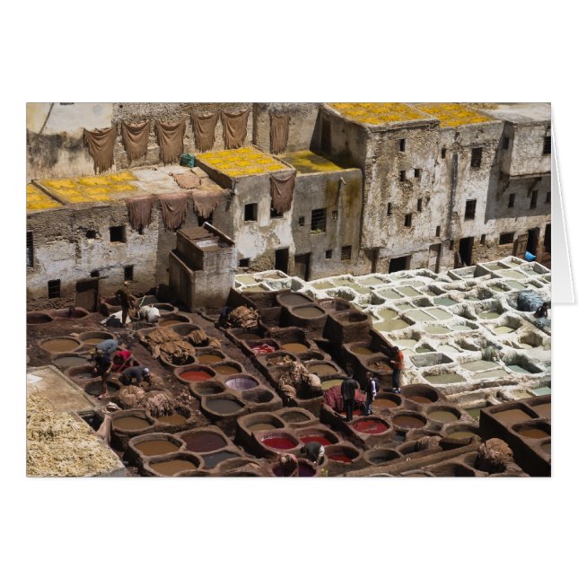 Chourara tannery, Fez Hälsningskort (Framsidan Horizontal)