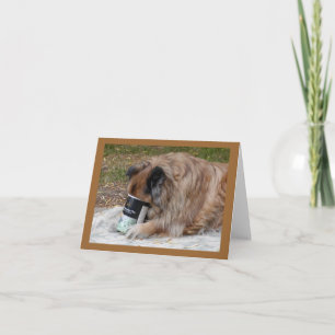 Chow älskar glassvalentines daykortet helgkort