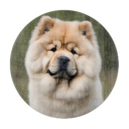 Chow Chow