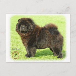Chow Chow 9B011D-08 Vykort
