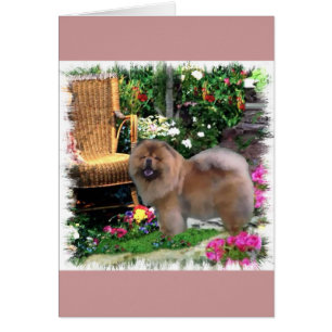 Chow Chow Art Gifts Hälsningskort