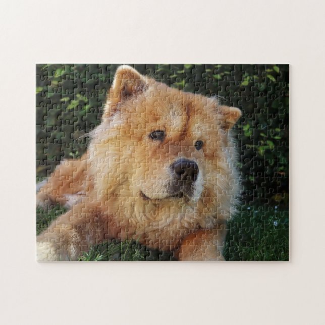 Chow Chow Chow hund Pussel (Horisontell)