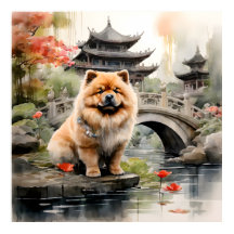 Chow Chow Exploring a Chinese Garden