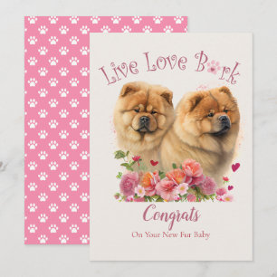 Chow Chow Hund Adoption, Gotcha Day Kort