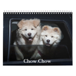 Chow Chow Hund Calendar Kalender