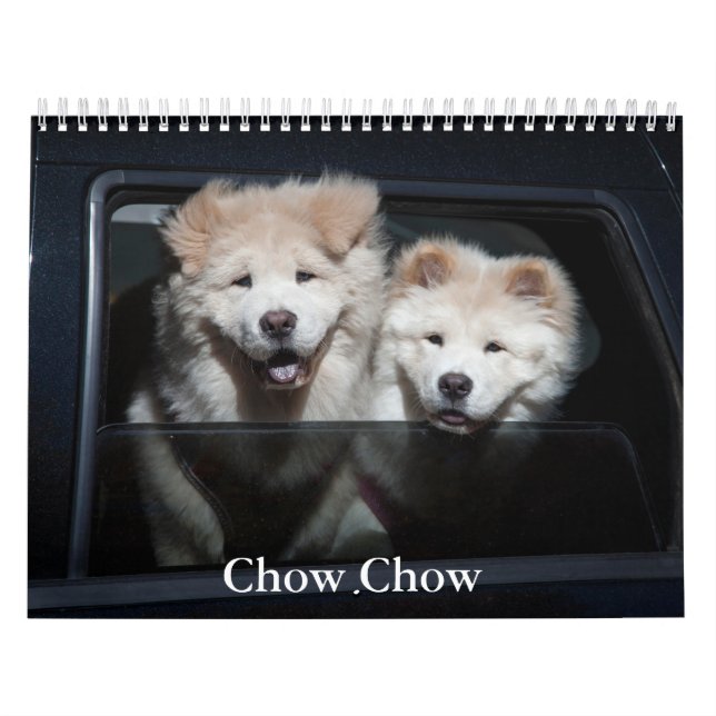 Chow Chow Hund Calendar Kalender (Omslag)