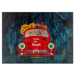 Chow Chow Hund Driving Car Scary Halloween