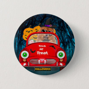 Chow Chow Hund Driving Car Scary Halloween Knapp