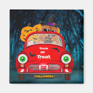 Chow Chow Hund Driving Car Scary Halloween Magnet
