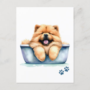 Chow Chow Hund Vykort