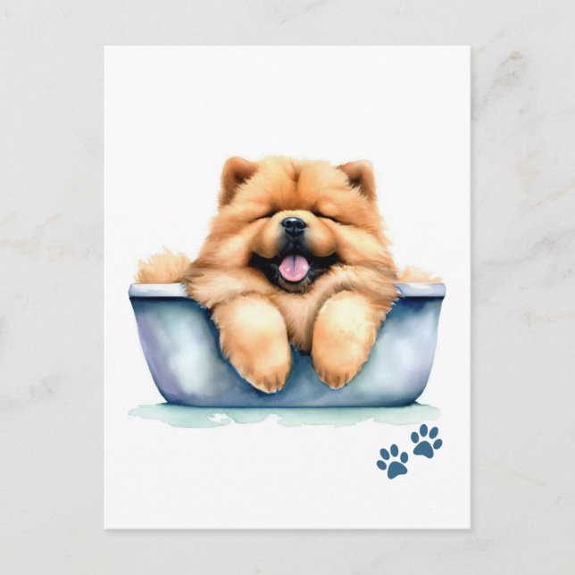 Chow Chow Hund Vykort (Framsida)