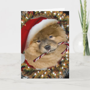 Chow Chow julkort Candy cane Helgkort