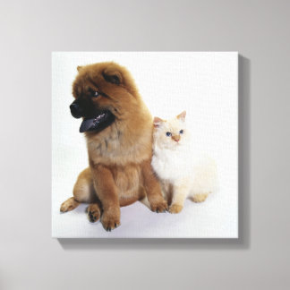 Chow Chow och White Cat Sitta Tillsammans Canvastryck