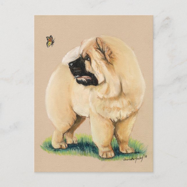Chow Chow Original Hund Art Postcard Vykort (Framsida)