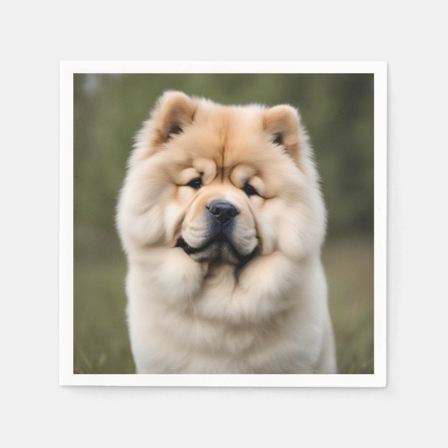 Chow Chow Pappersservett (Framsidan)