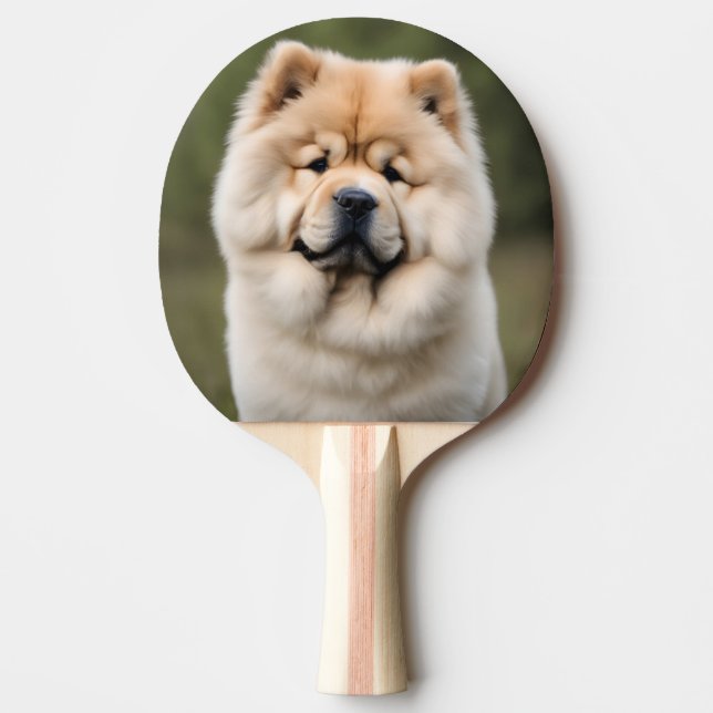 Chow Chow Pingisracket (Framsidan)
