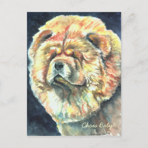 Chow Chow Postkort Vykort