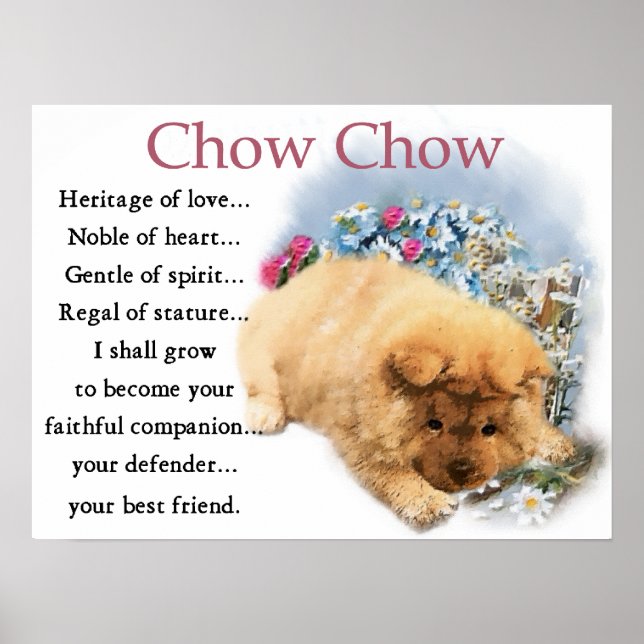 Chow Chow Puppy Art Print Poster (Framsidan)