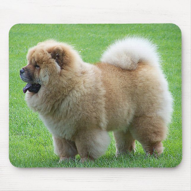 Chow Chow Puppy Hund Grönt Grass Mousepad Musmatta (Framsidan)