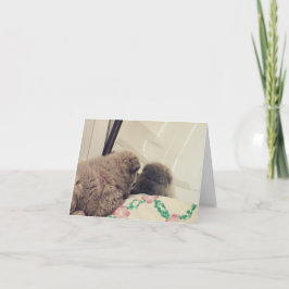 Chow chow Puppy ser sig själv i spegel Tack Kort