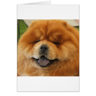 Chow Chow Rädding Hälsningskort