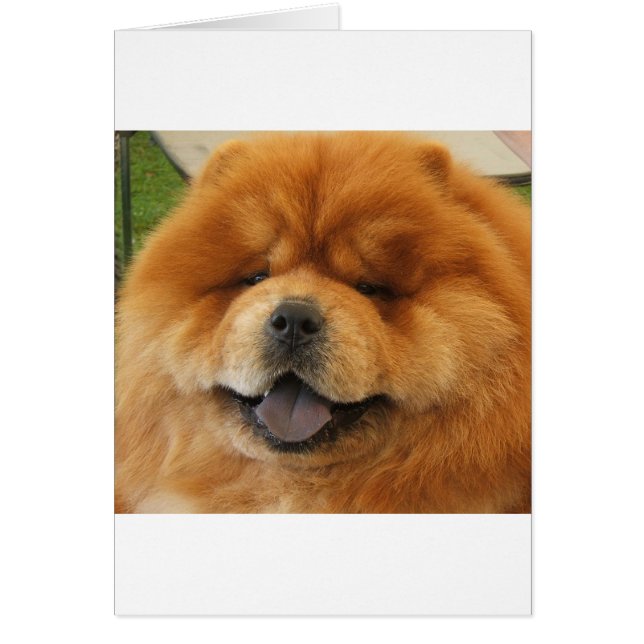 Chow Chow Rädding Hälsningskort (Framsidan)