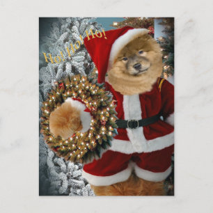 Chow Chow Santa Tassar Helg Vykort
