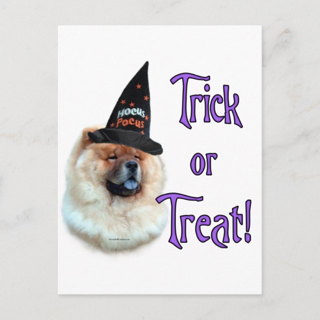 Chow Chow Trick Vykort (Framsida)