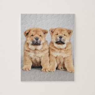 Chow chow-valpar pussel