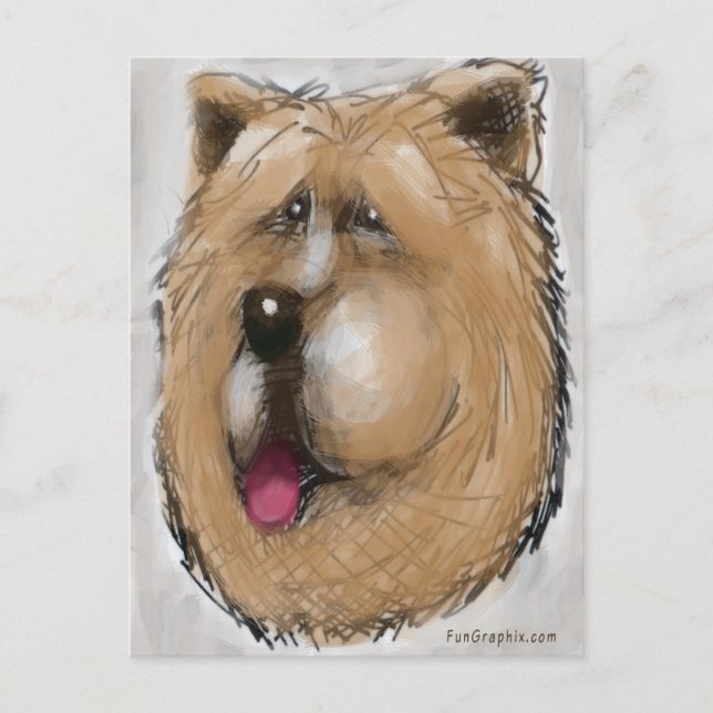 Chow Chow Vykort (Framsida)