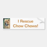 ChowChow