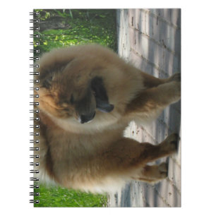 chowchow full.png anteckningsbok med spiral