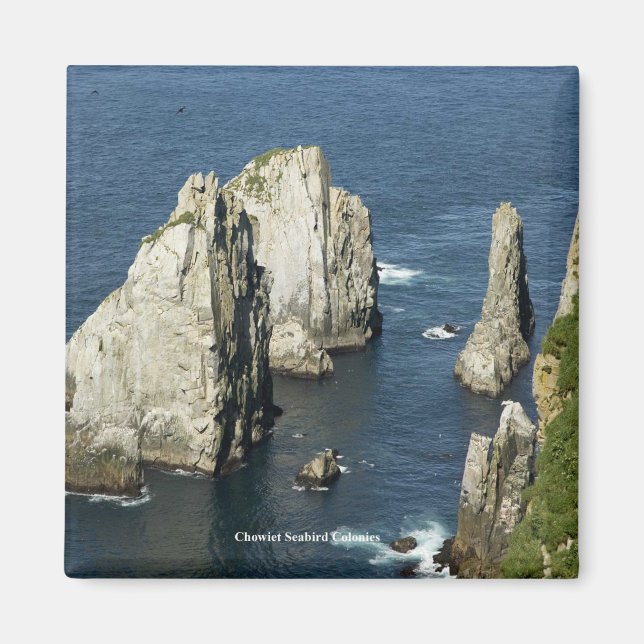 Chowiet Seabird Colonies, Alaska Magnet (Framsidan)